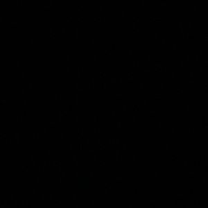 Meet your Posher, Princess